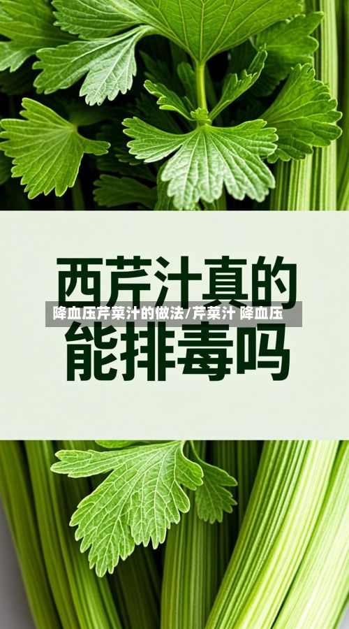 降血压芹菜汁的做法/芹菜汁 降血压-第3张图片