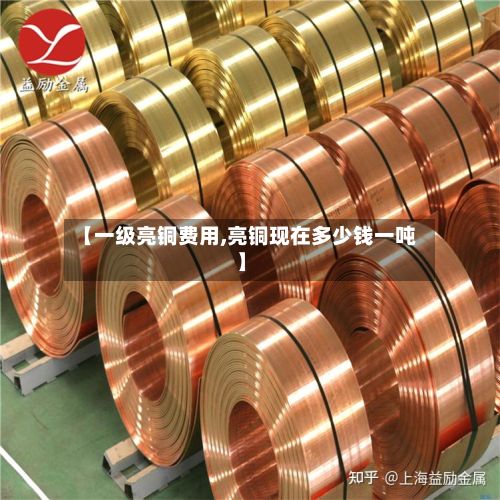 【一级亮铜费用,亮铜现在多少钱一吨】-第2张图片