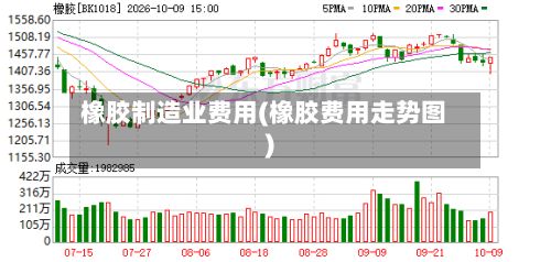 橡胶制造业费用(橡胶费用走势图)-第2张图片