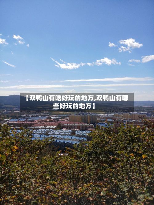 【双鸭山有啥好玩的地方,双鸭山有哪些好玩的地方】-第3张图片