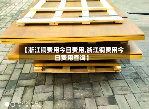 【浙江铜费用今日费用,浙江铜费用今日费用查询】-第3张图片