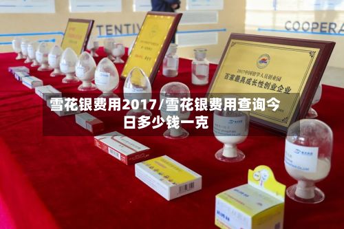 雪花银费用2017/雪花银费用查询今日多少钱一克-第2张图片