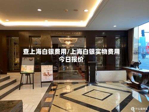 查上海白银费用/上海白银实物费用今日报价