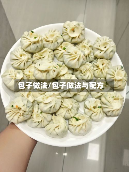包子做法/包子做法与配方-第2张图片