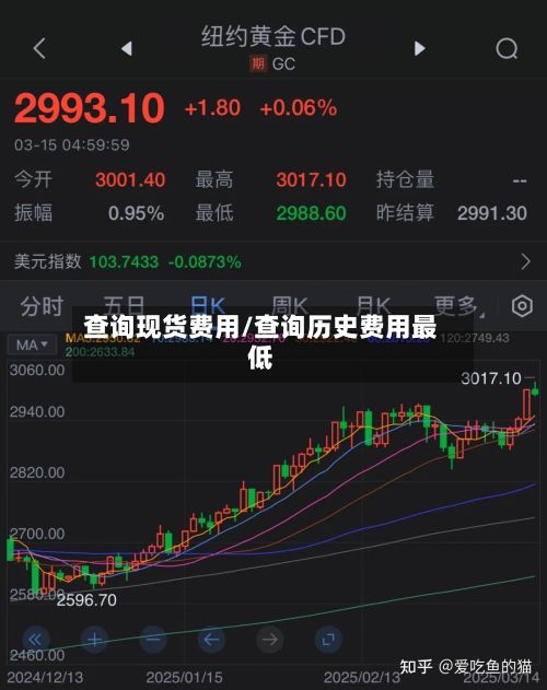查询现货费用/查询历史费用最低-第2张图片
