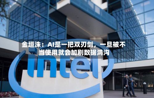 金垣洙：AI是一把双刃剑，一旦被不当使用就会加剧数据鸿沟-第2张图片