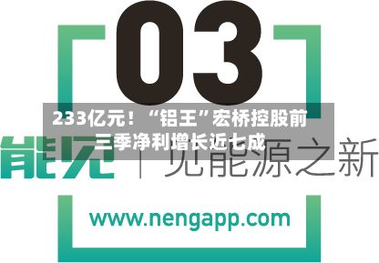 233亿元！“铝王	”宏桥控股前三季净利增长近七成-第1张图片