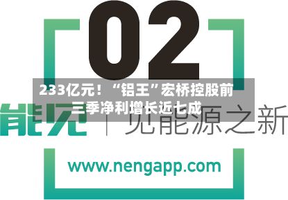 233亿元！“铝王”宏桥控股前三季净利增长近七成-第3张图片