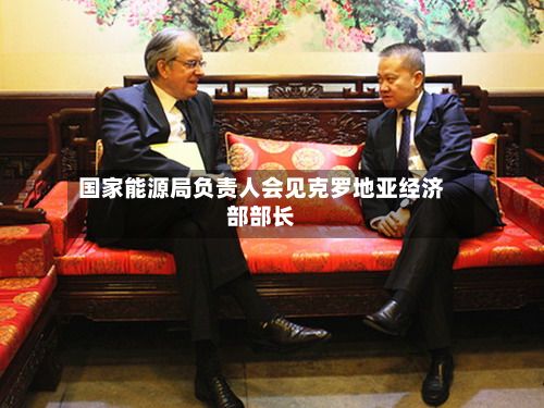 国家能源局负责人会见克罗地亚经济部部长