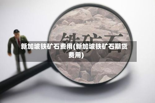 新加坡铁矿石费用(新加坡铁矿石期货费用)
