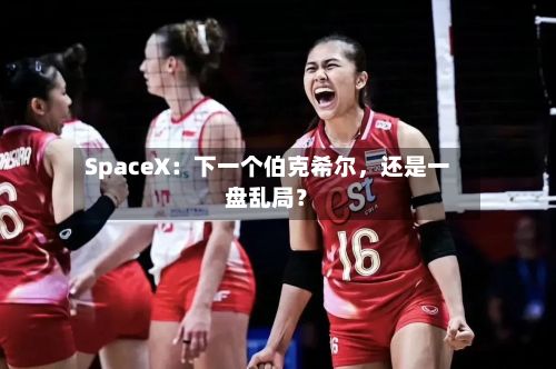 SpaceX：下一个伯克希尔，还是一盘乱局？-第2张图片