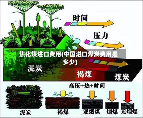 焦化煤进口费用(中国进口煤炭费用是多少)-第2张图片