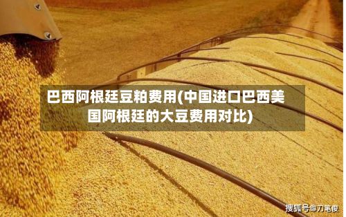 巴西阿根廷豆粕费用(中国进口巴西美国阿根廷的大豆费用对比)-第2张图片