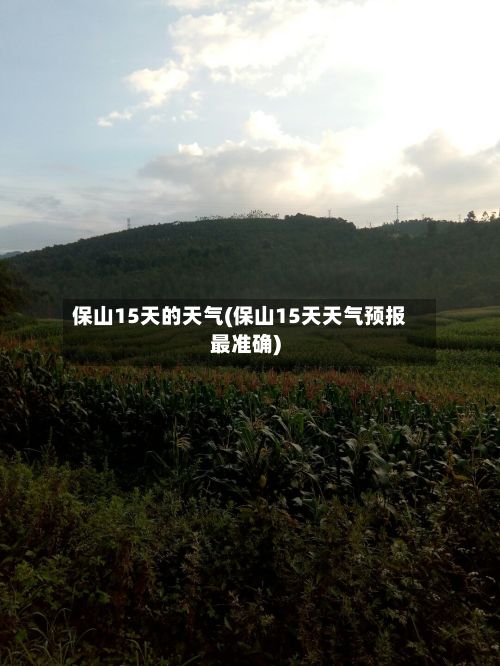 保山15天的天气(保山15天天气预报最准确)-第3张图片
