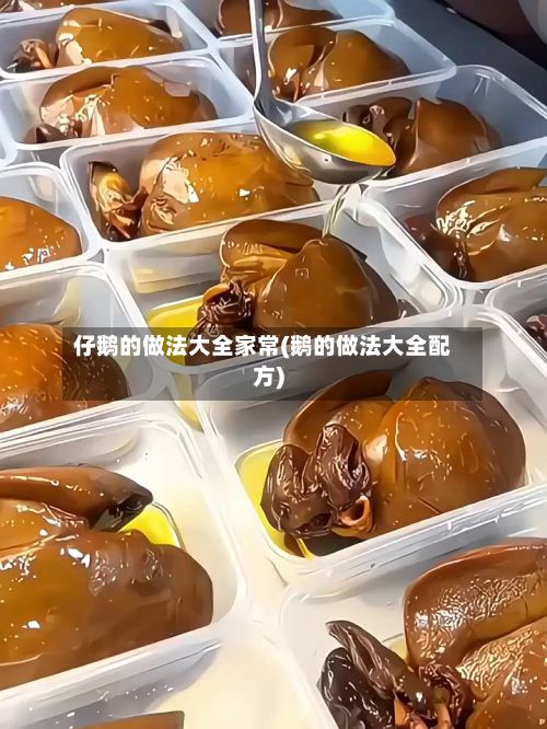 仔鹅的做法大全家常(鹅的做法大全配方)-第3张图片