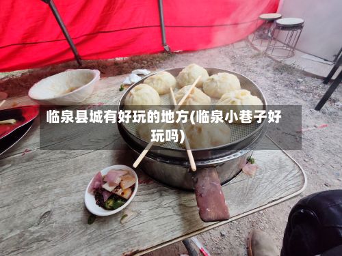 临泉县城有好玩的地方(临泉小巷子好玩吗)-第3张图片