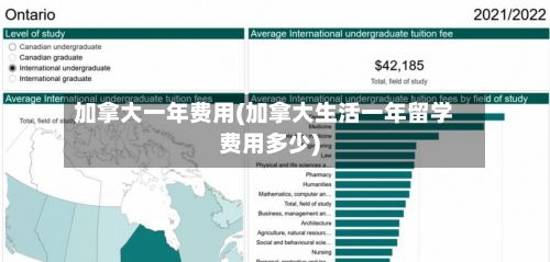 加拿大一年费用(加拿大生活一年留学费用多少)