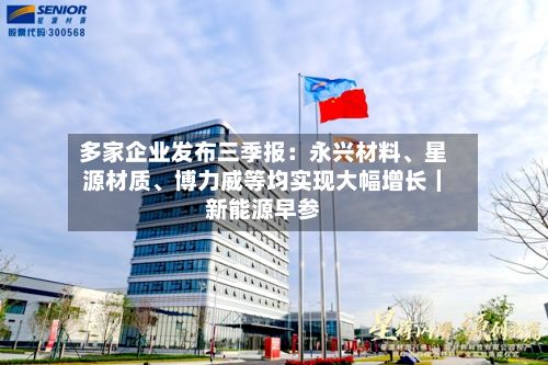 多家企业发布三季报：永兴材料、星源材质	、博力威等均实现大幅增长｜新能源早参-第2张图片