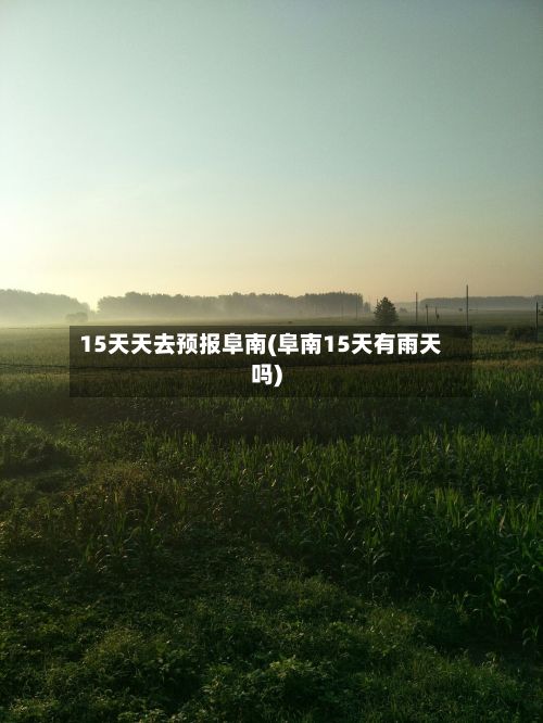 15天天去预报阜南(阜南15天有雨天吗)-第2张图片