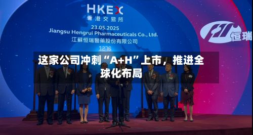 这家公司冲刺“A+H”上市，推进全球化布局-第2张图片