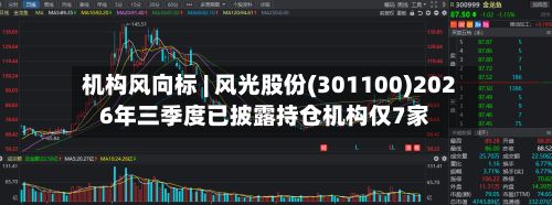 机构风向标 | 风光股份(301100)2026年三季度已披露持仓机构仅7家-第2张图片