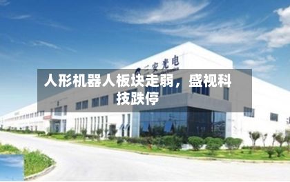 人形机器人板块走弱	，盛视科技跌停-第1张图片