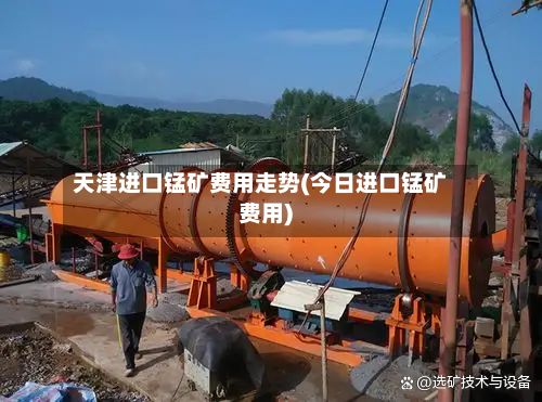 天津进口锰矿费用走势(今日进口锰矿费用)-第2张图片