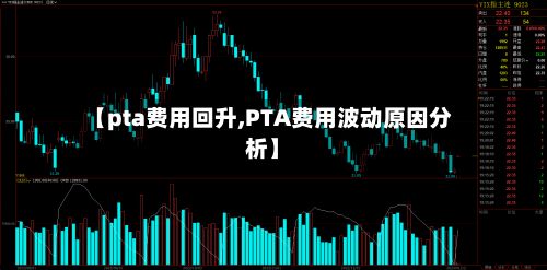【pta费用回升,PTA费用波动原因分析】-第2张图片
