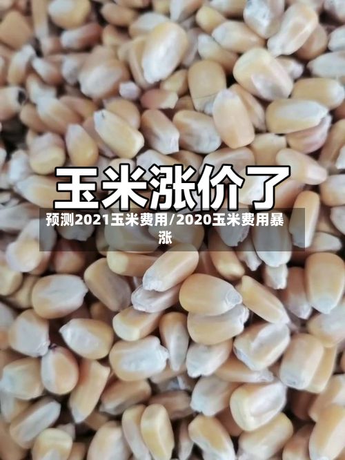 预测2021玉米费用/2020玉米费用暴涨-第2张图片