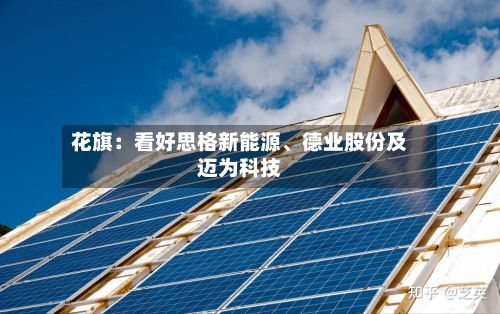 花旗：看好思格新能源、德业股份及迈为科技-第2张图片