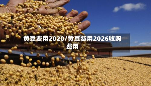 黄豆费用2020/黄豆费用2026收购费用