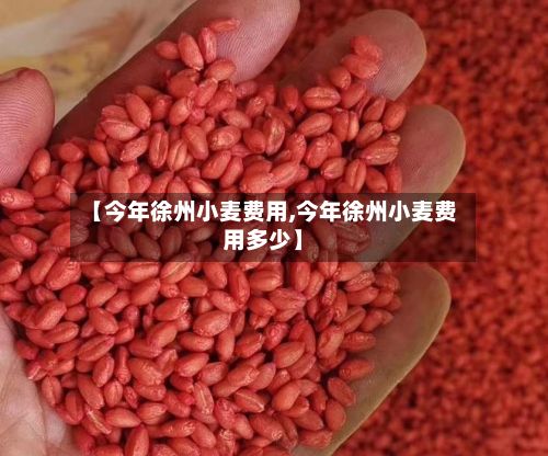 【今年徐州小麦费用,今年徐州小麦费用多少】-第3张图片
