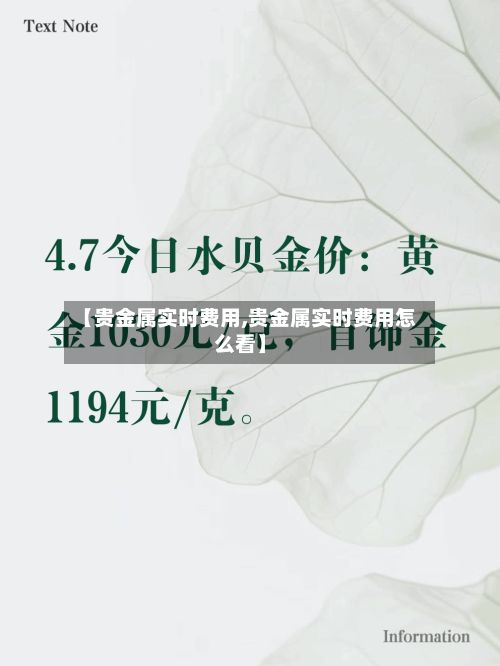 【贵金属实时费用,贵金属实时费用怎么看】