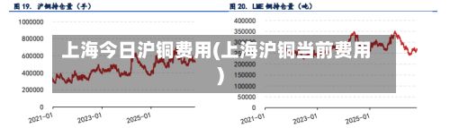 上海今日沪铜费用(上海沪铜当前费用)-第3张图片