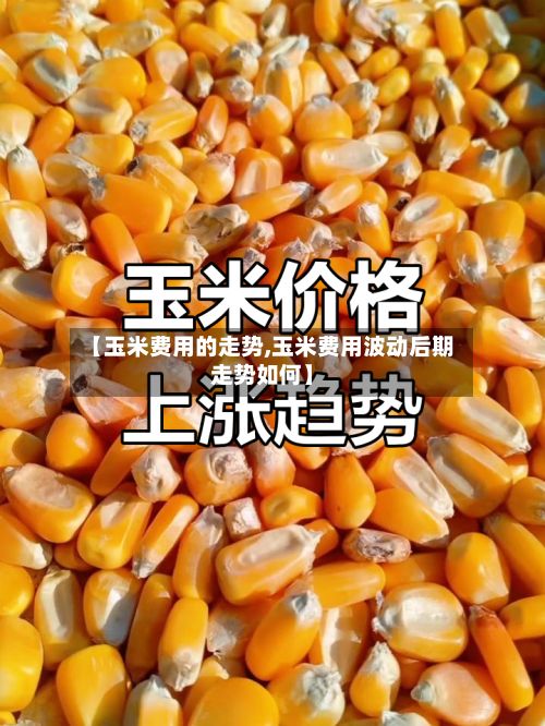 【玉米费用的走势,玉米费用波动后期走势如何】