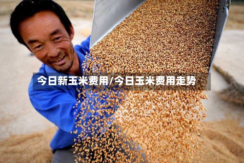 今日新玉米费用/今日玉米费用走势-第2张图片