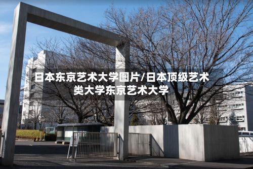 日本东京艺术大学图片/日本顶级艺术类大学东京艺术大学