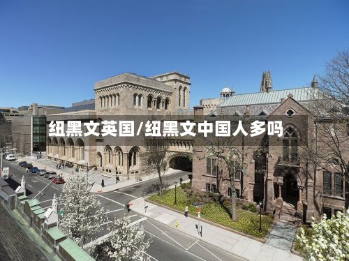 纽黑文英国/纽黑文中国人多吗-第2张图片