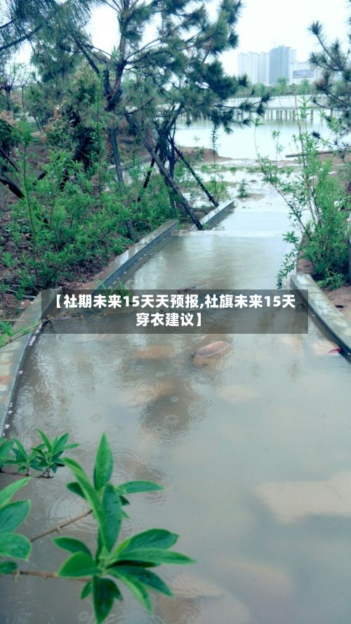【社期未来15天天预报,社旗未来15天穿衣建议】