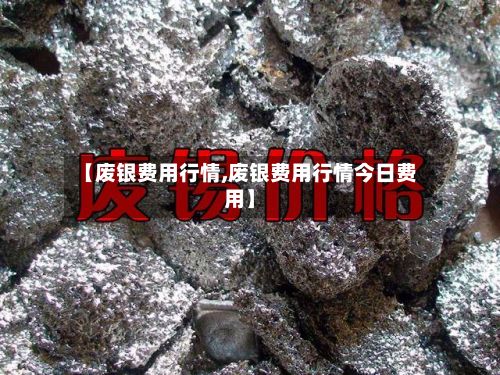 【废银费用行情,废银费用行情今日费用】