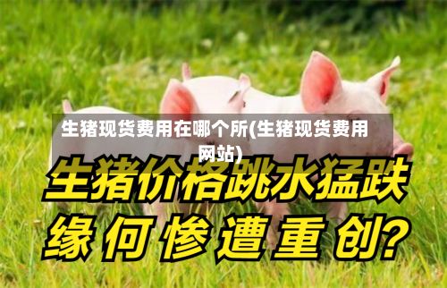 生猪现货费用在哪个所(生猪现货费用网站)-第2张图片