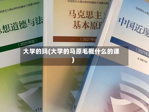 大学的玛(大学的马原毛概什么的课)