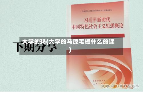 大学的玛(大学的马原毛概什么的课)-第2张图片