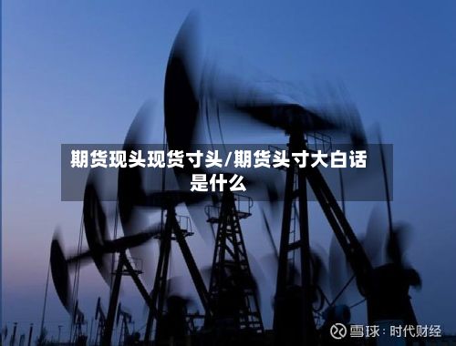 期货现头现货寸头/期货头寸大白话是什么