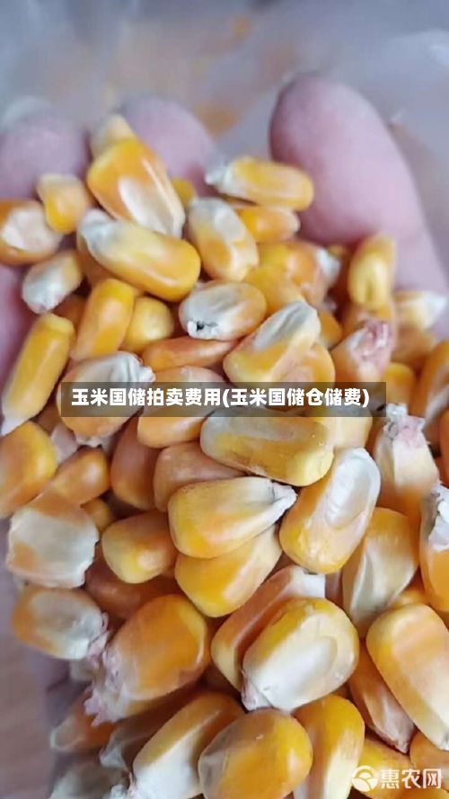 玉米国储拍卖费用(玉米国储仓储费)-第2张图片