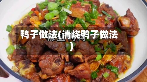 鸭子做法(清烧鸭子做法)-第3张图片