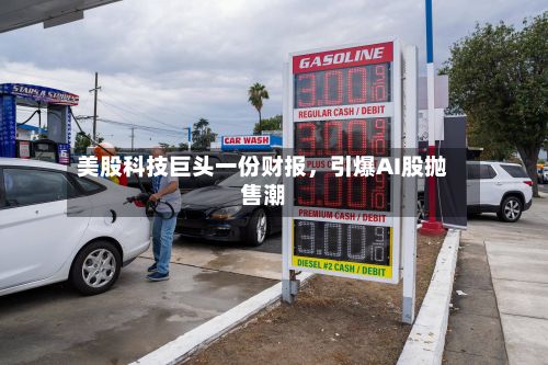 美股科技巨头一份财报，引爆AI股抛售潮-第3张图片