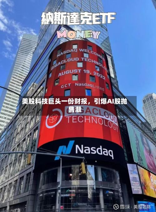 美股科技巨头一份财报，引爆AI股抛售潮-第2张图片