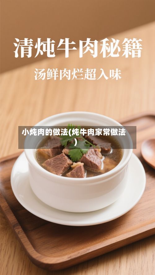 小炖肉的做法(炖牛肉家常做法)-第2张图片
