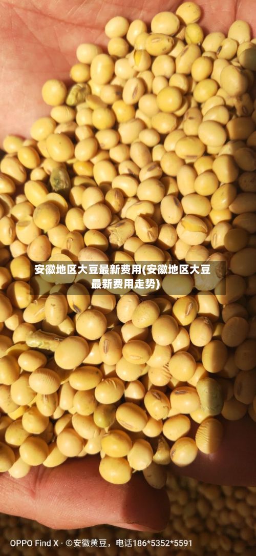 安徽地区大豆最新费用(安徽地区大豆最新费用走势)-第3张图片